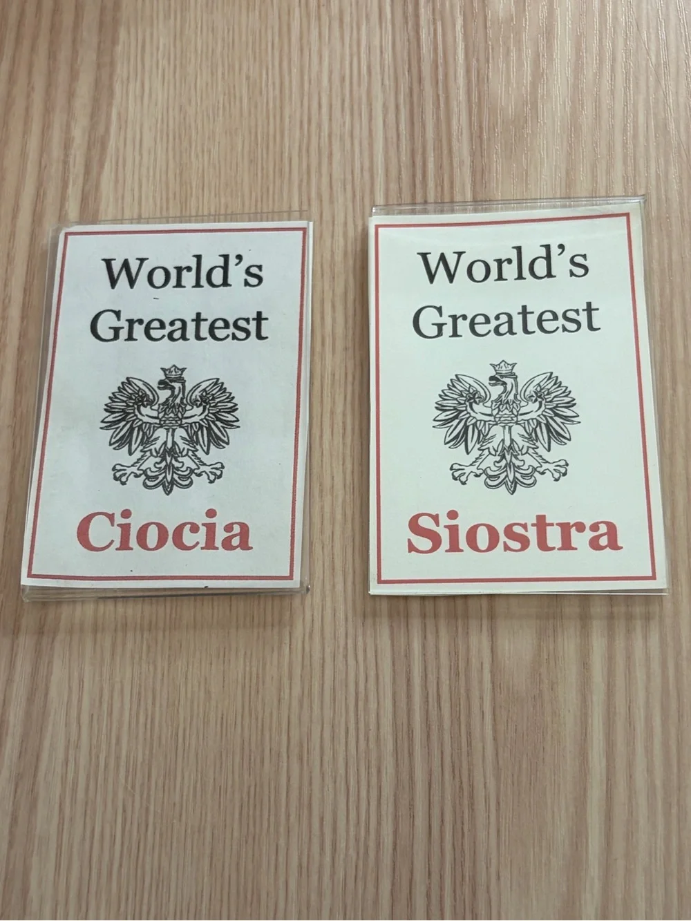 ⚡️Polish Decor Magnets • World's Greatest Sister & Aunt / Siostra & Ciocia